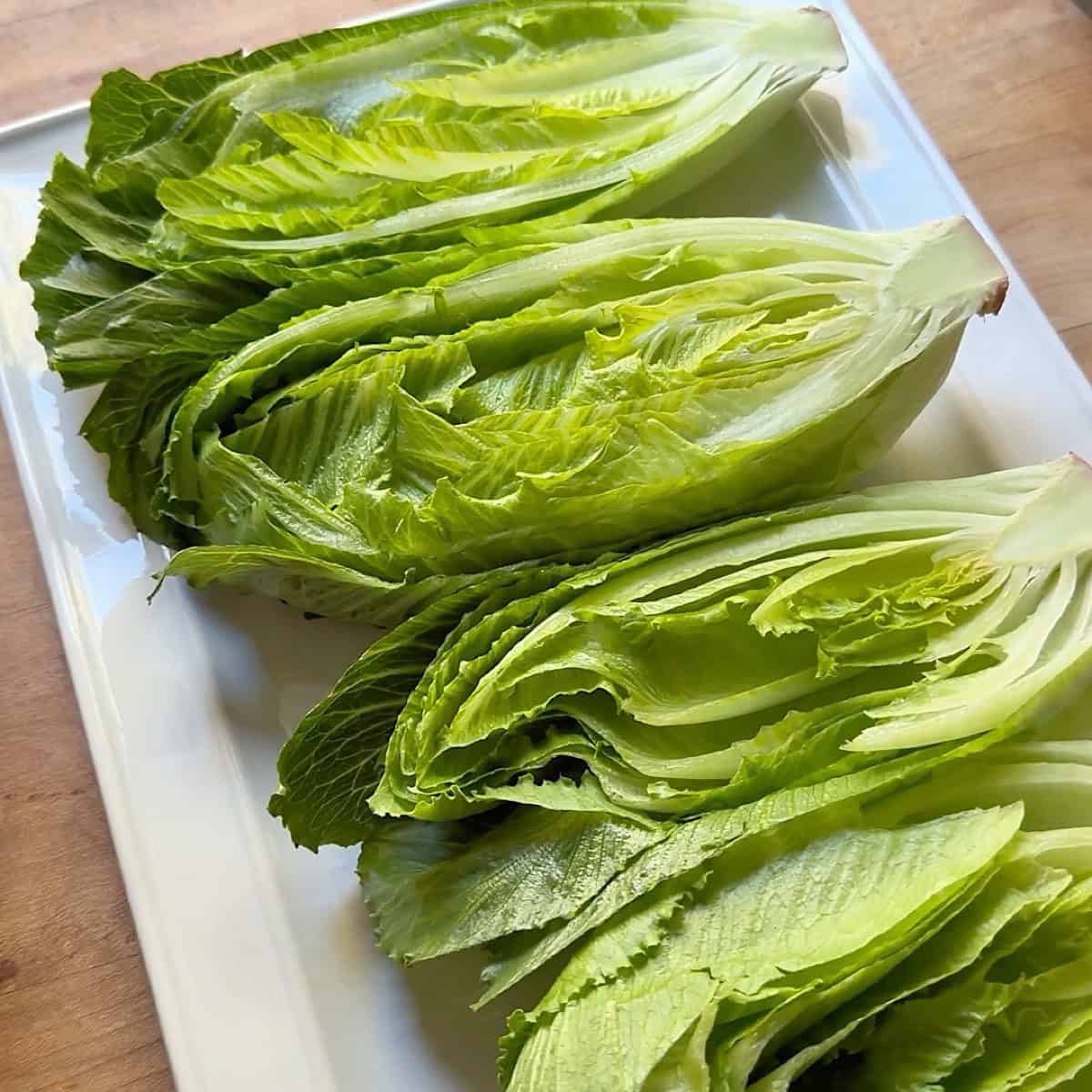 Trimmed and washed romaine wedges.