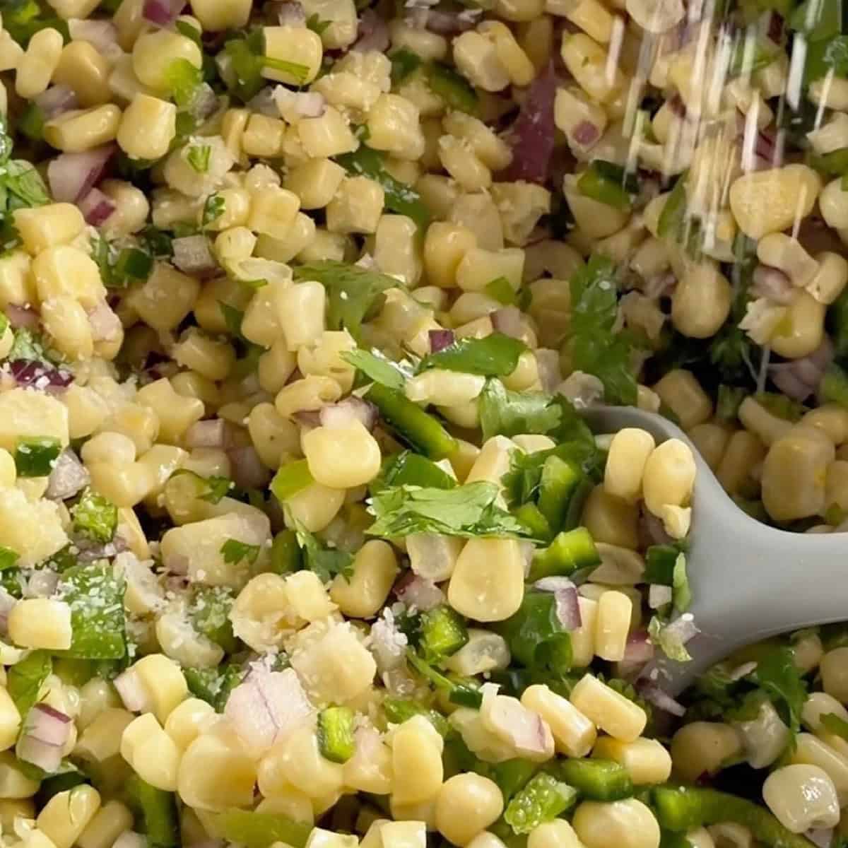 Adding kosher salt to the combined base ingredients.