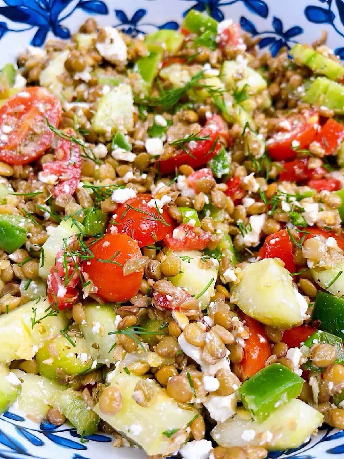 A greek lentil salad tossed in a decorative bowl to show dressing and herbs.