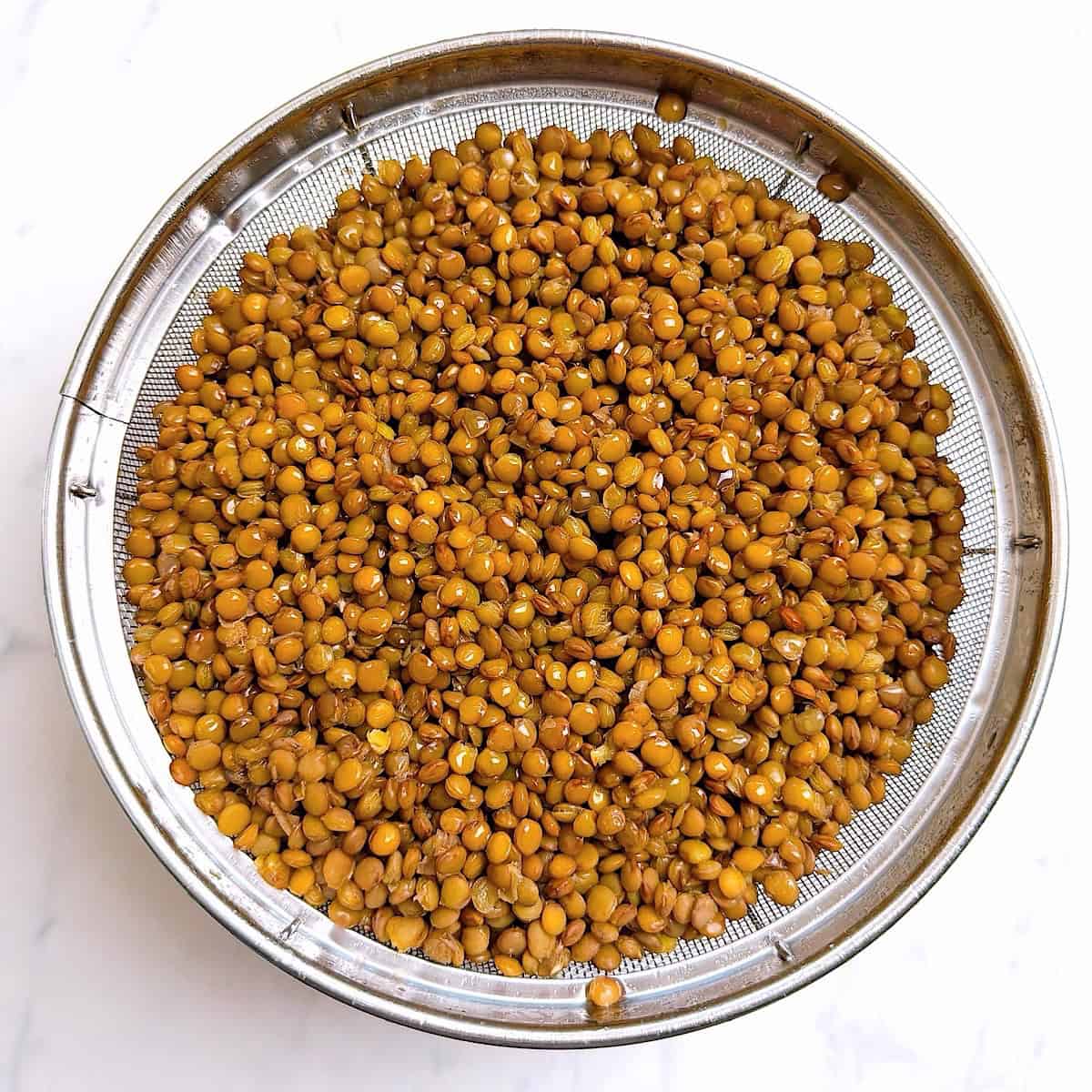 Cooked brown lentils drained in a colander.