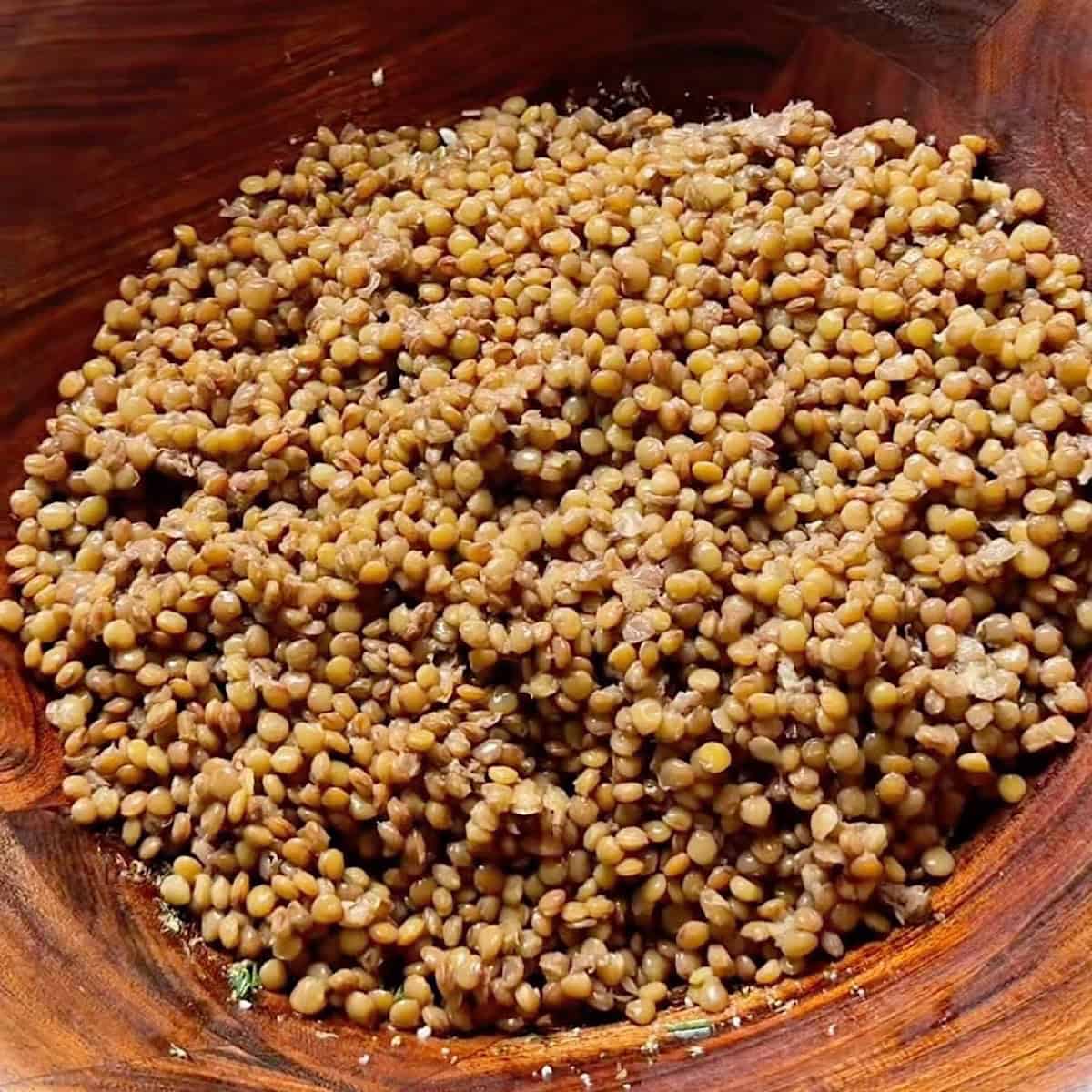Cooked lentils soaking in dressing.