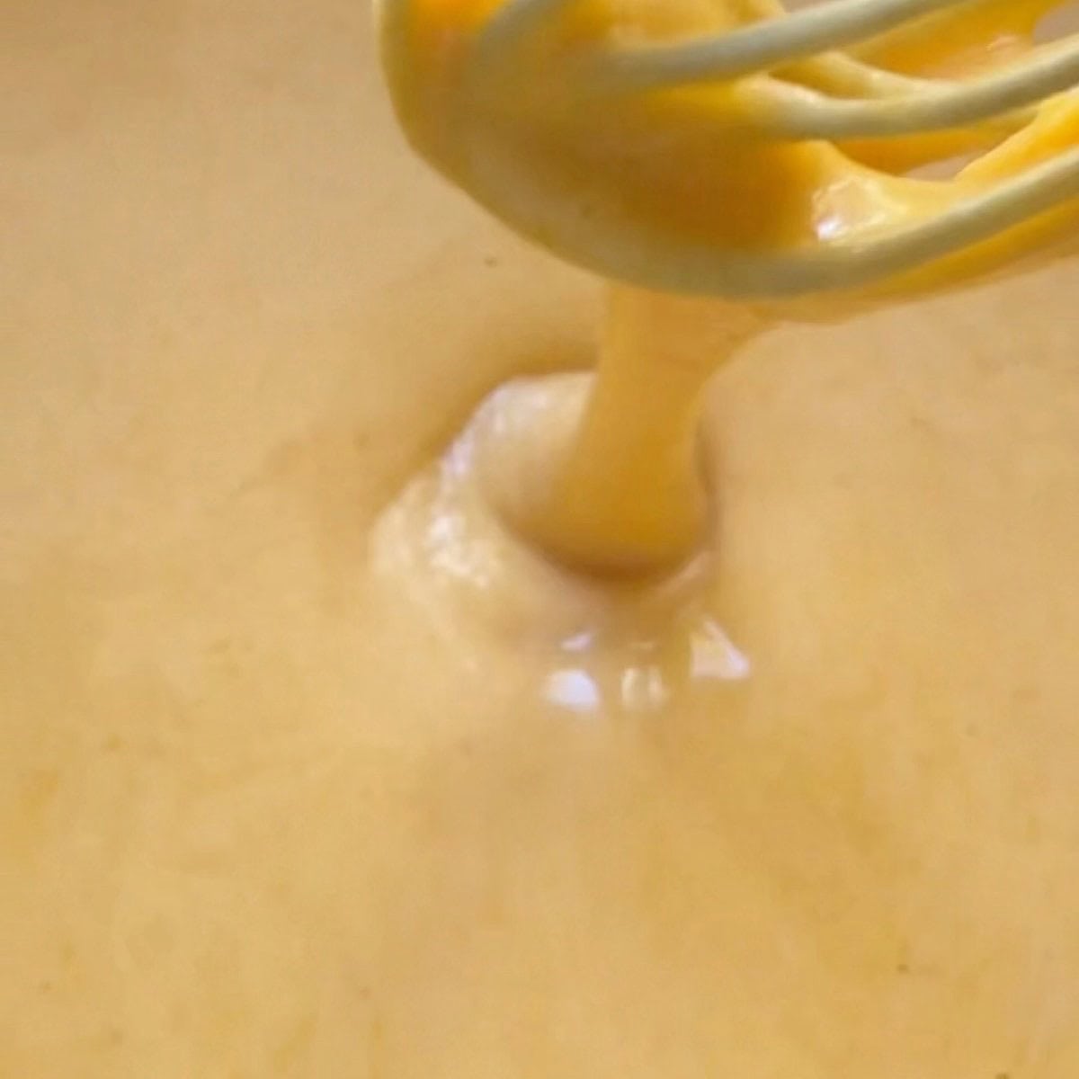 Showing the consistency after dijon and other spices are added.