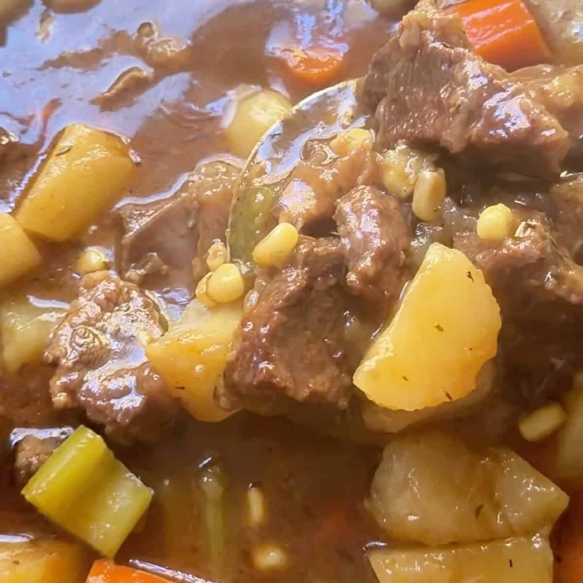 Vegetables added into the hearty stew.