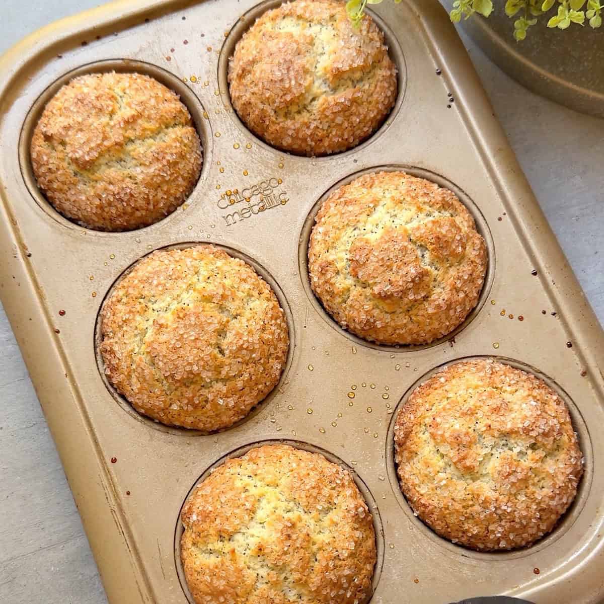 A muffin tin with lemon poppyseed muffins cooling inside.