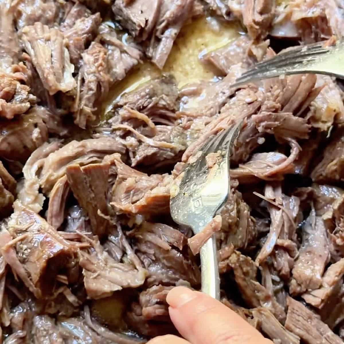 Shredding tender beef with two forks.
