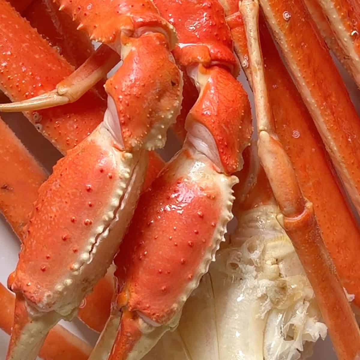 Close up of snow crab legs with a slit in shell.