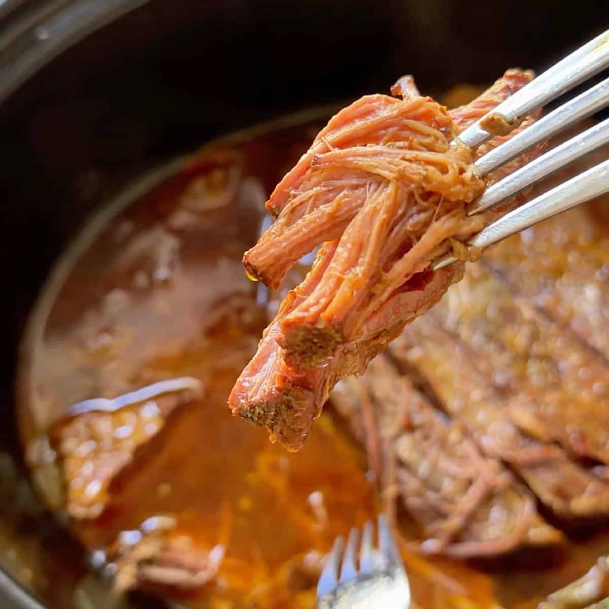A fork holding juicy shredded beef brisket over the crockpot.