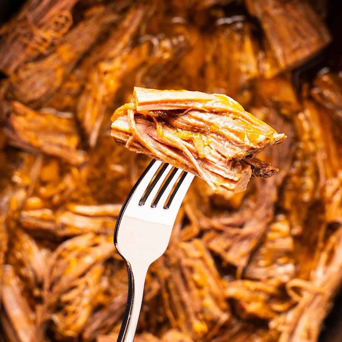 A fork holding juicy shredded brisket over the crockpot of shredded beef.
