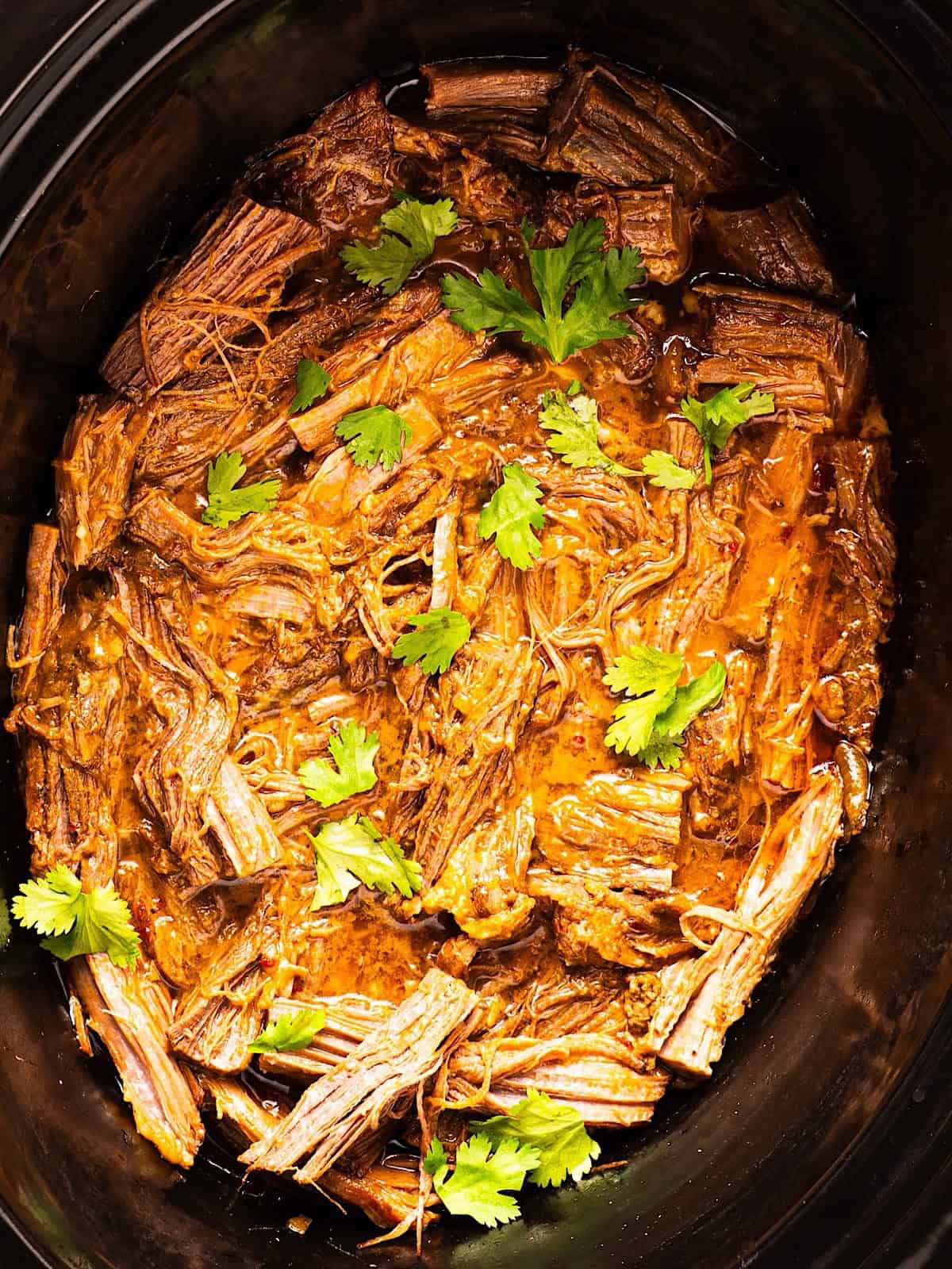 A crockpot full of tender shredded beef brisket with cilantro on top.
