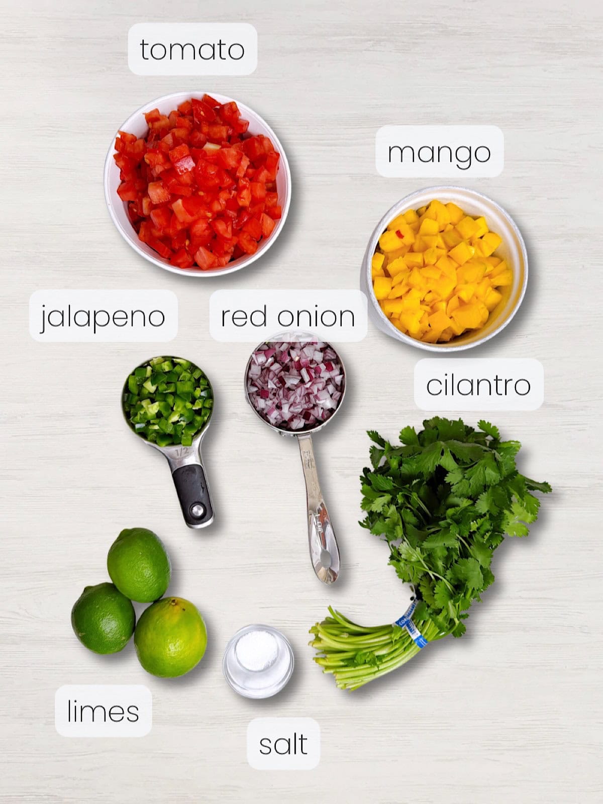 A labeled image of everything needed to make mango pico de gallo recipe.