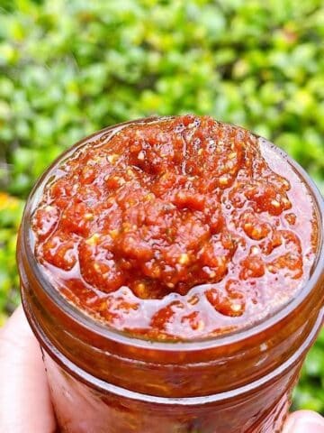 Holding sundried tomato pesto in a jar outside.