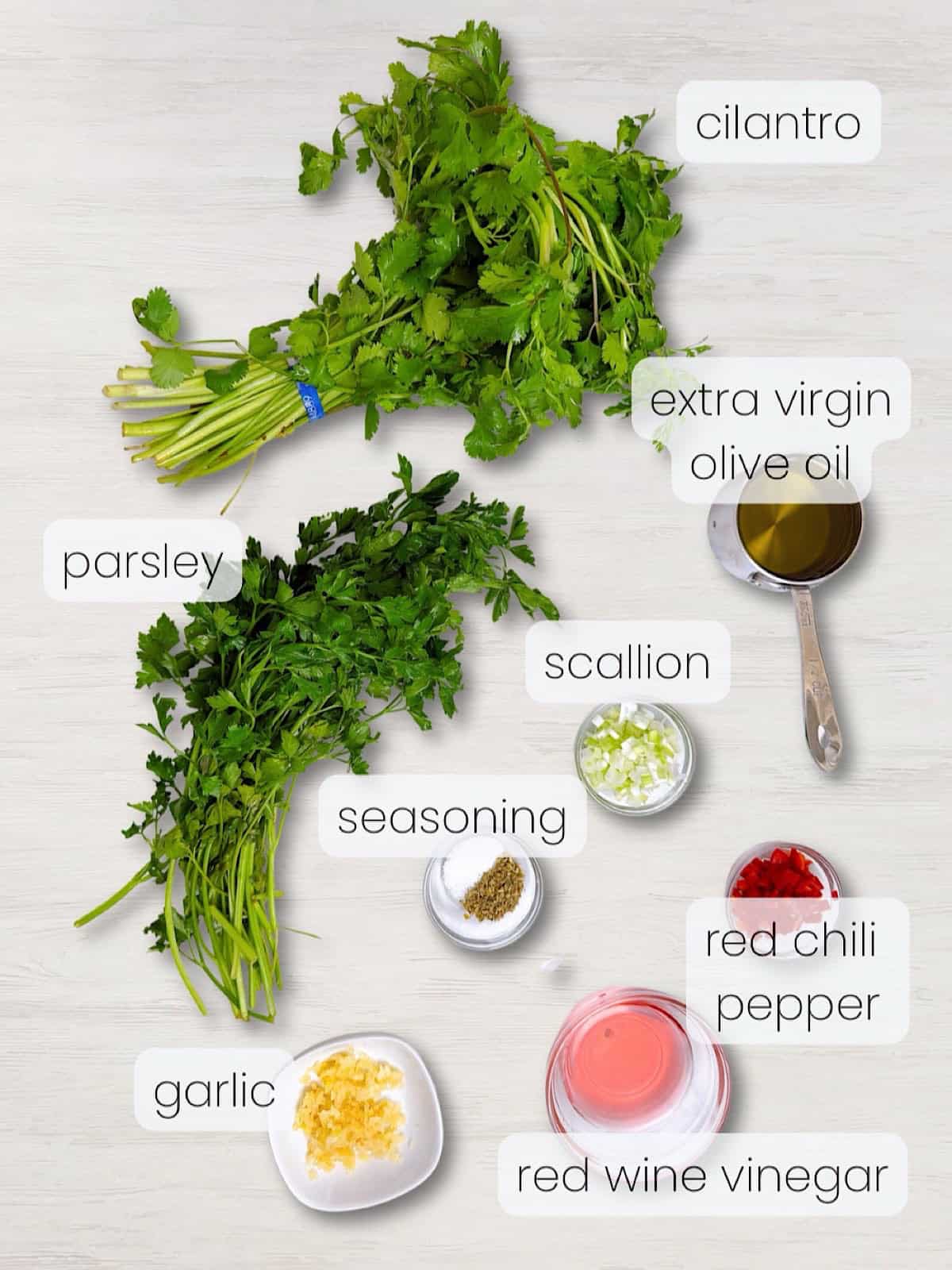 A labeled image of everything needed to make this cilantro chimichurri sauce recipe.