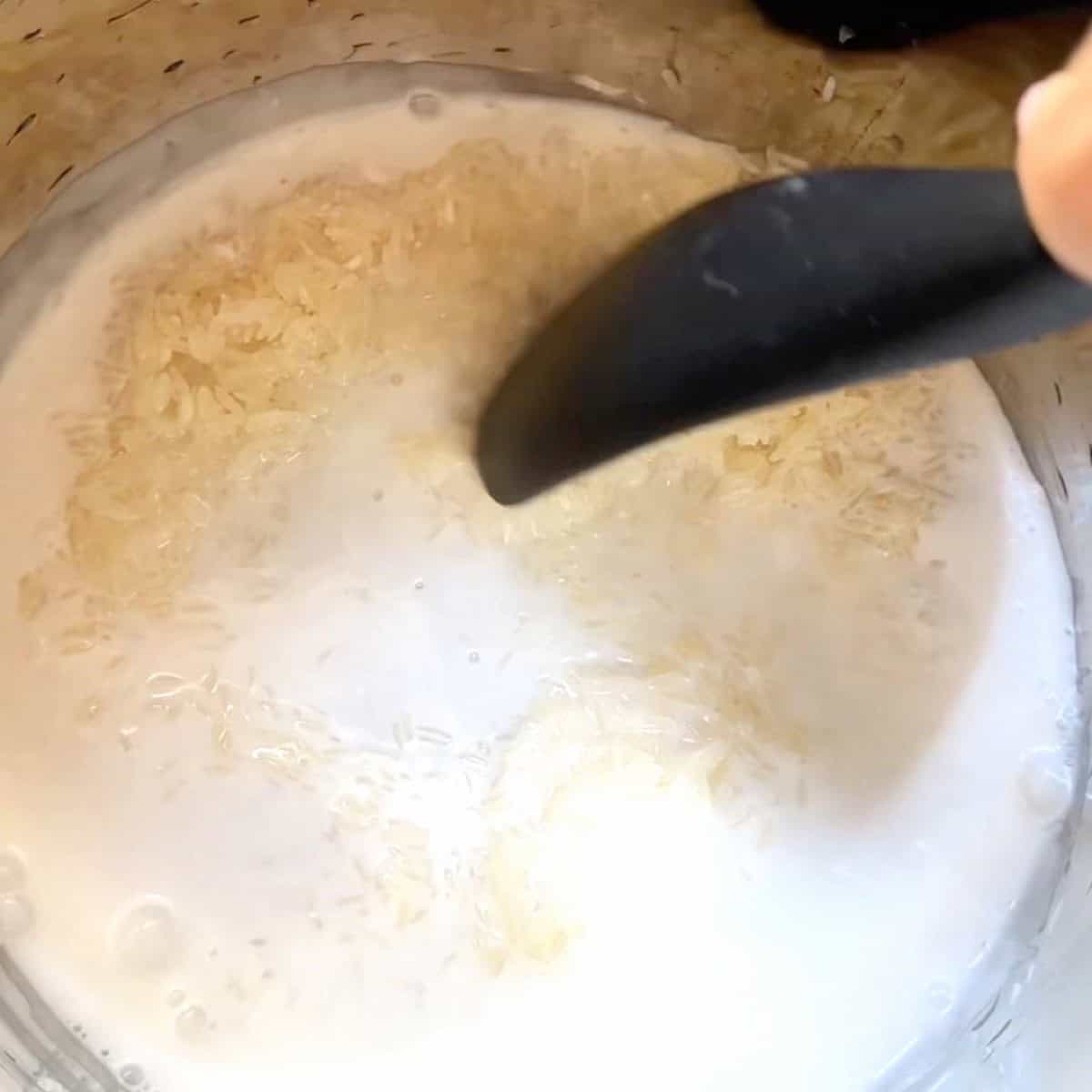 Jasmine rice, coconut milk, and water added to the instant pot.