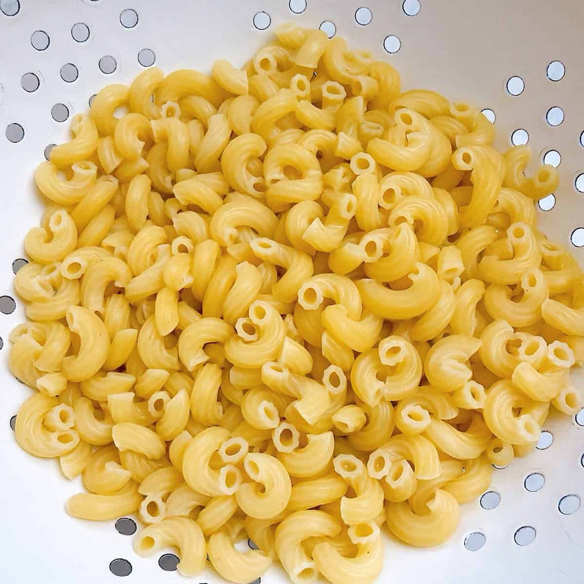Boiled macaroni pasta drained in a colander.
