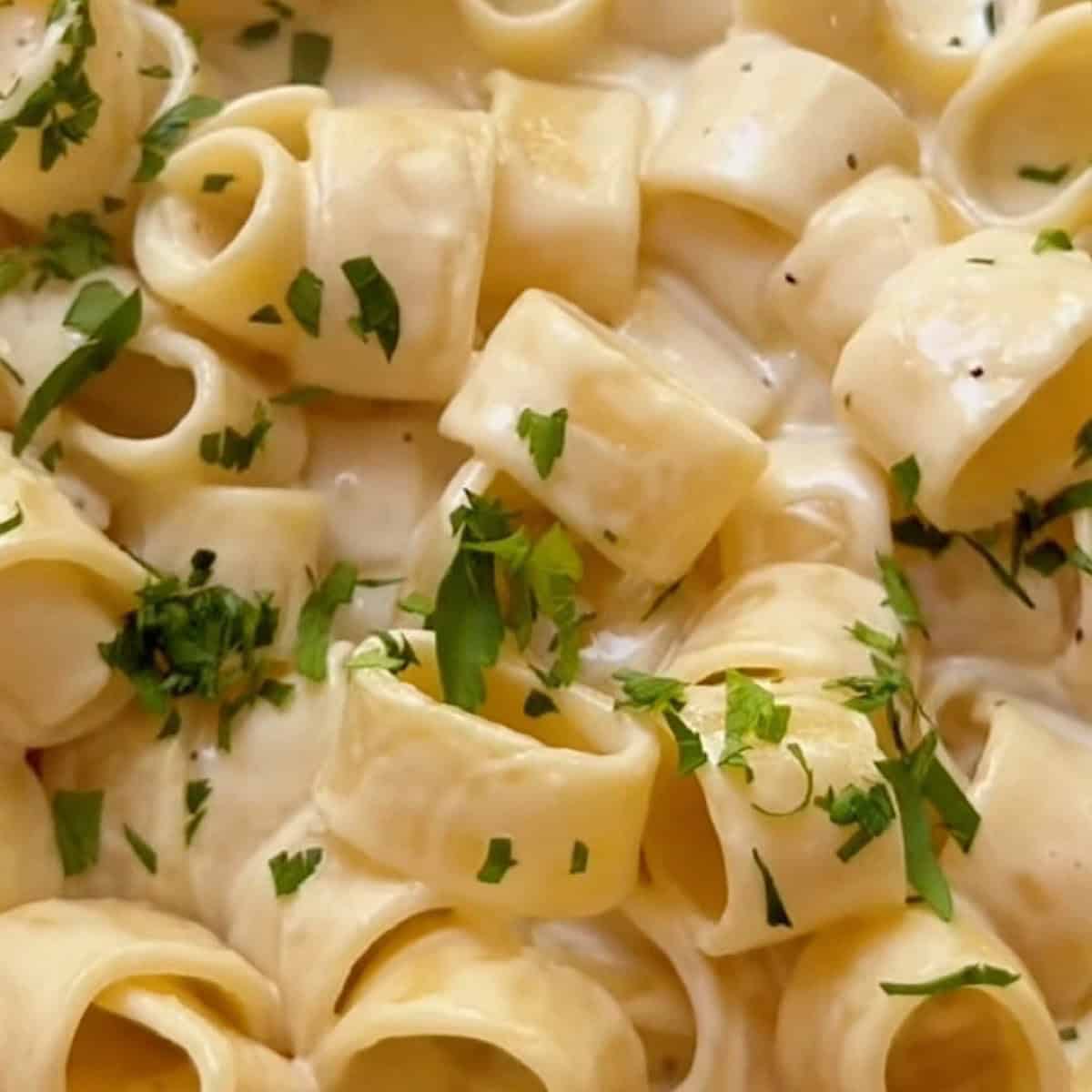 Homemade alfredo sauce poured over pasta and topped with parsley.