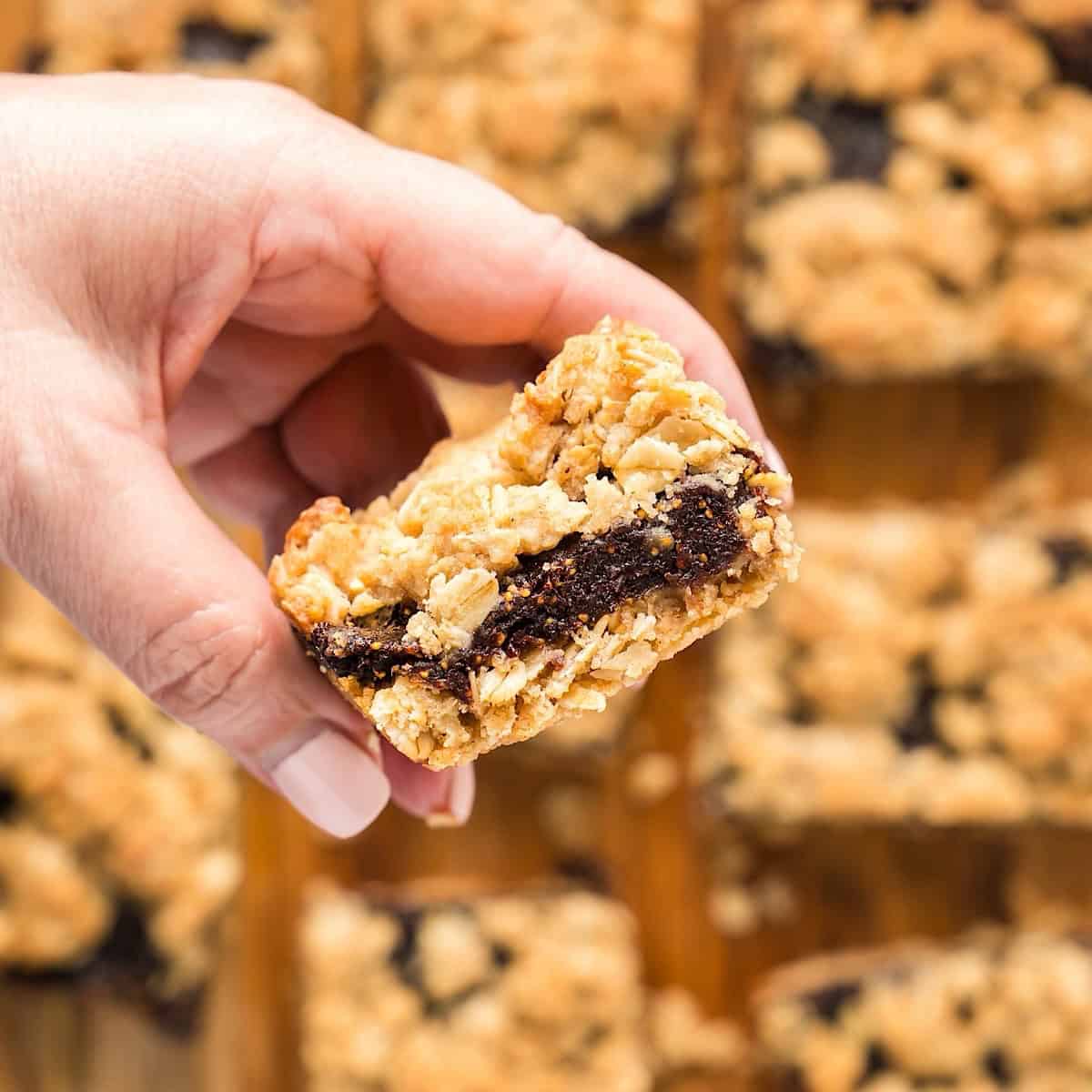 Holding a homemade fig oatmeal bar over remaining bars to show the fig filling.