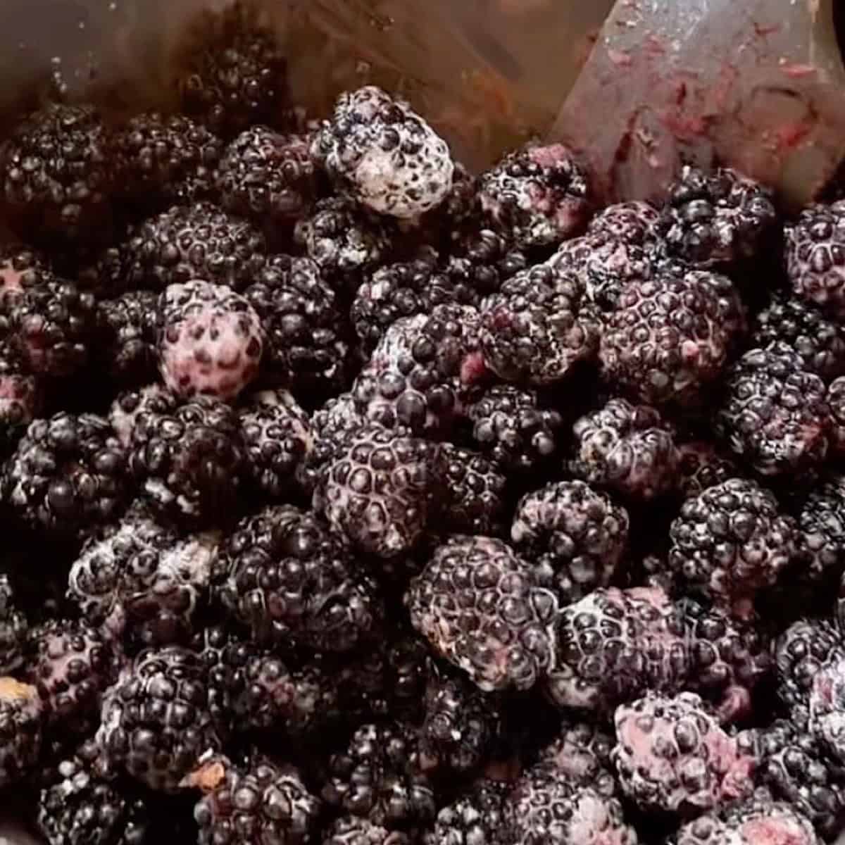 A bowl of blackberries mixed with cornstarch, cinnamon, and lemon zest.