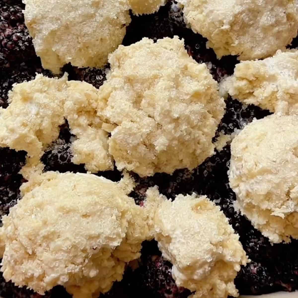 Mounds of sugar coated cobbler topping resting on blackberries.