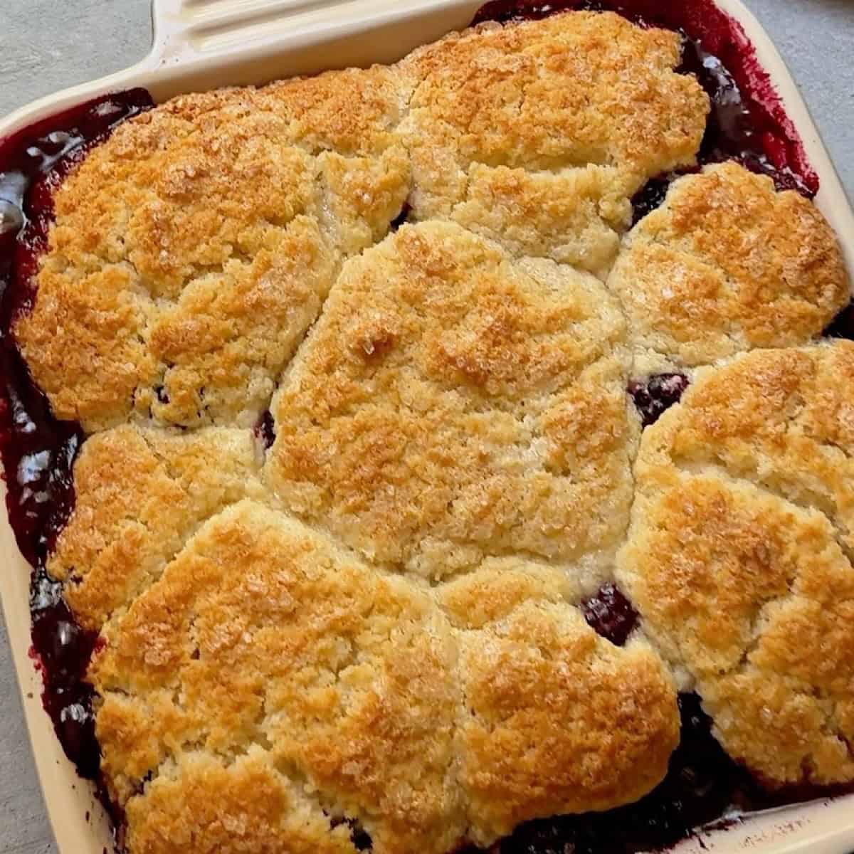 Baked blackberry cobbler with bubbly berries peeking through.