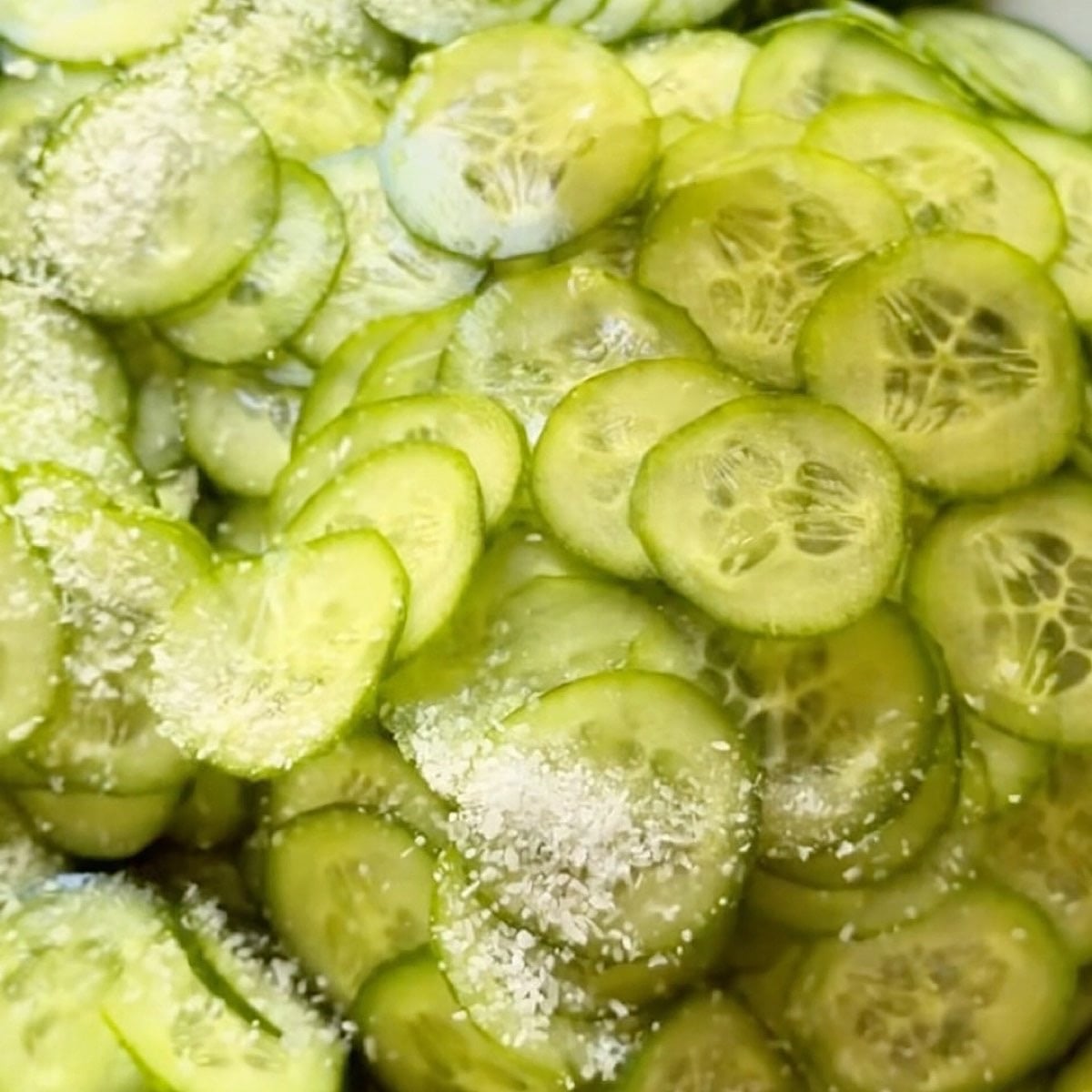 Thinly sliced cucumbers resting in a bowl with salt.