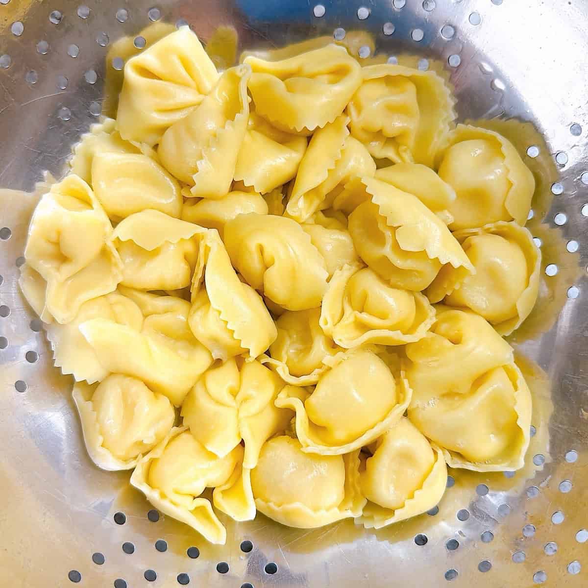 Cooked cheese tortellini draining in a colander.
