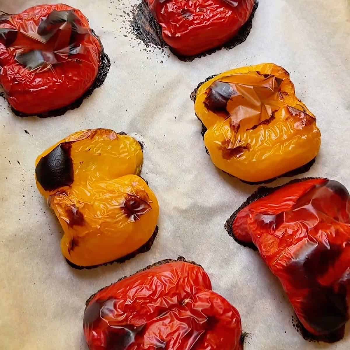 Roasted bell peppers on sheet pan with blistered and charred skins.