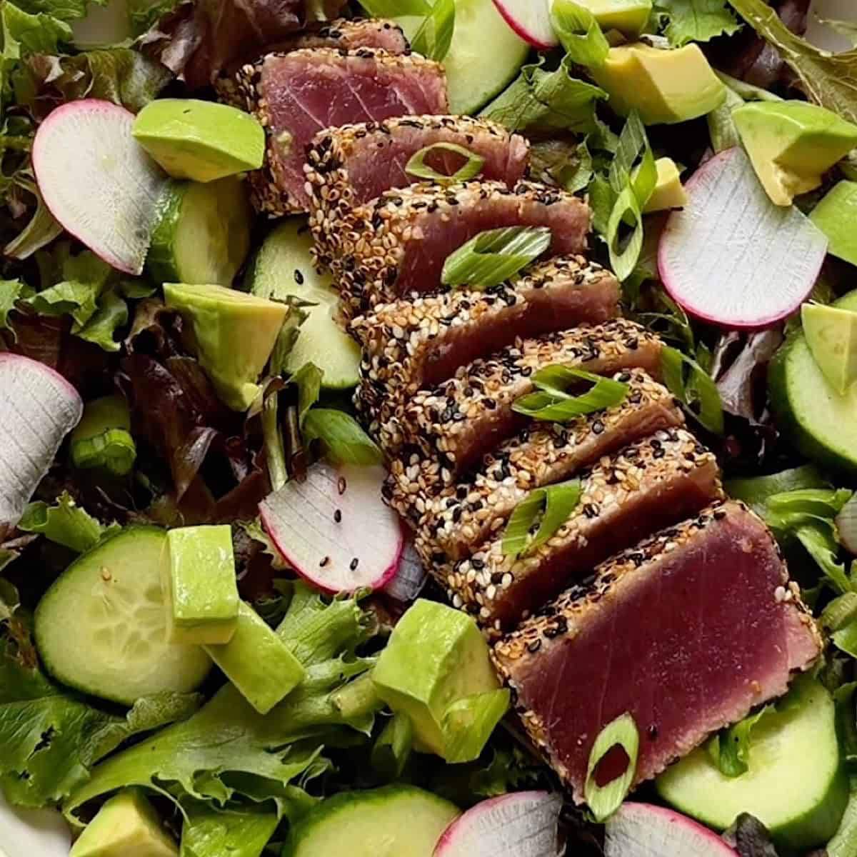 Seared ahi tuna salad with sliced rare tuna arranged on top.