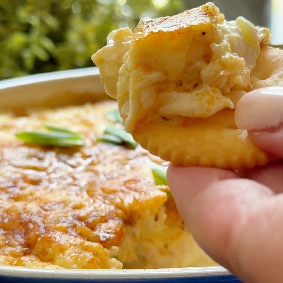 Holding a Ritz cracker with hot crab dip in front of the dish.