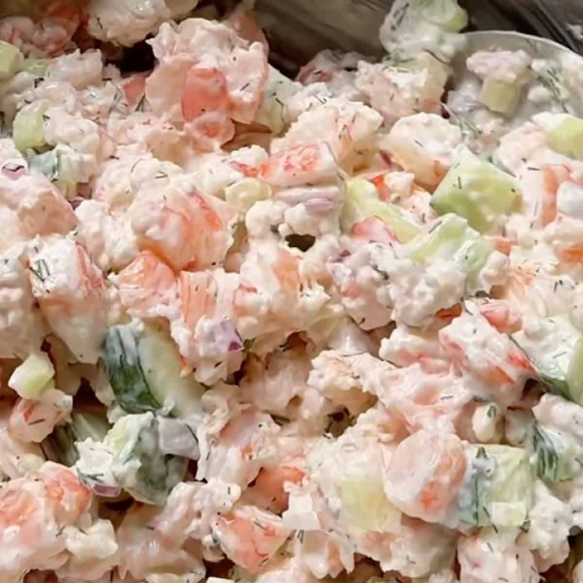 Mixing the cucumber shrimp salad in the creamy dressing.