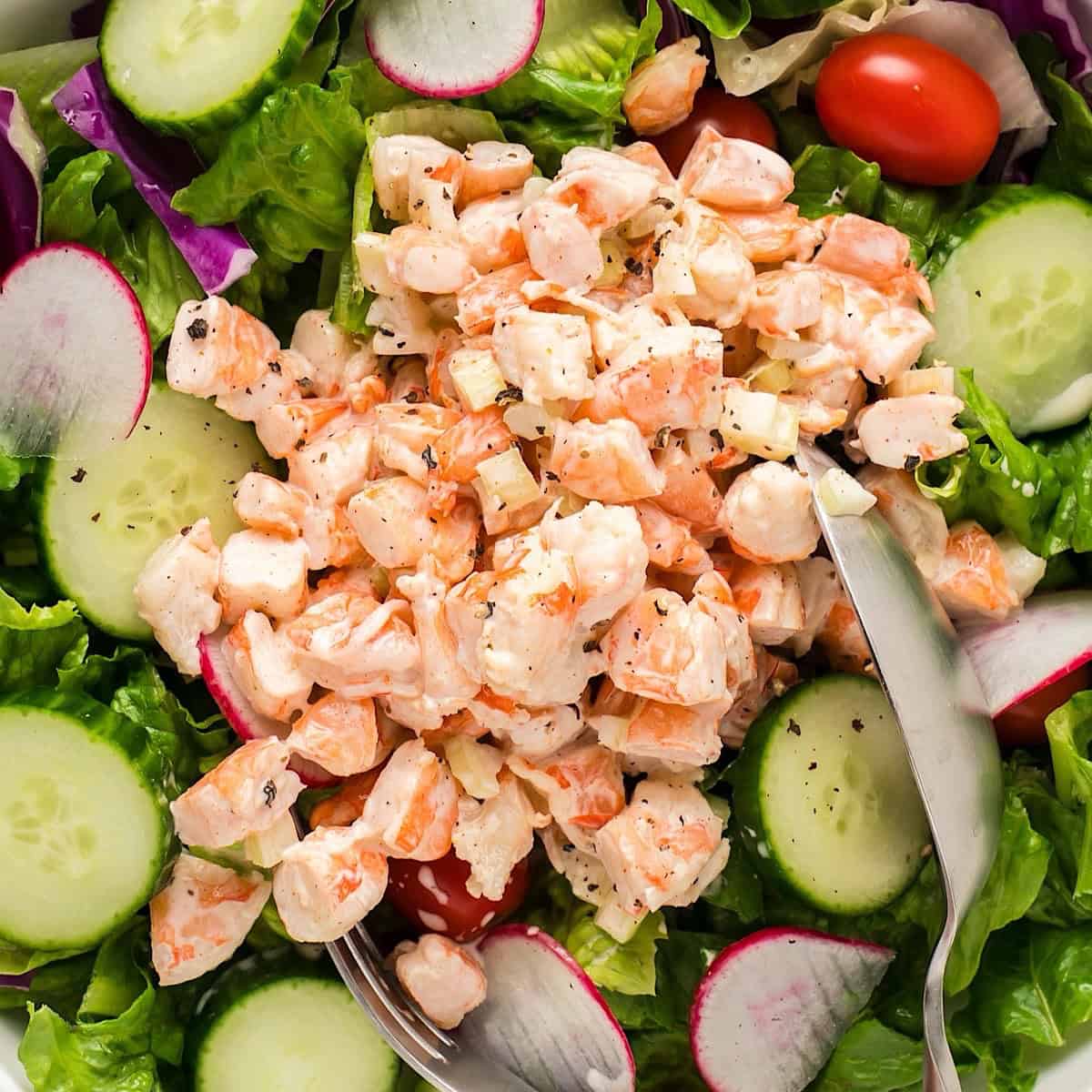 Old bay shrimp salad on a bed of greens and serving utensils.