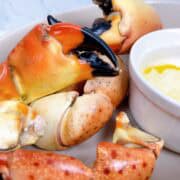 Stone crab claws near a small dish of melted butter.