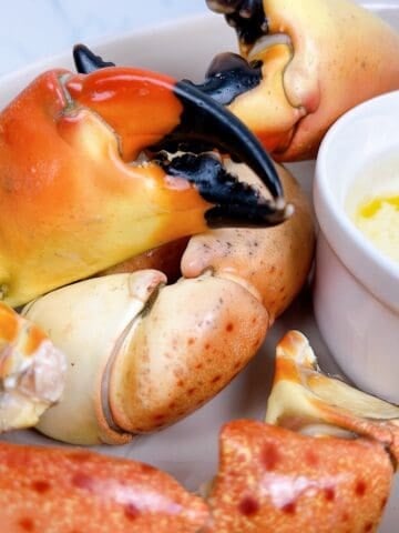 Stone crab claws near a small dish of melted butter.