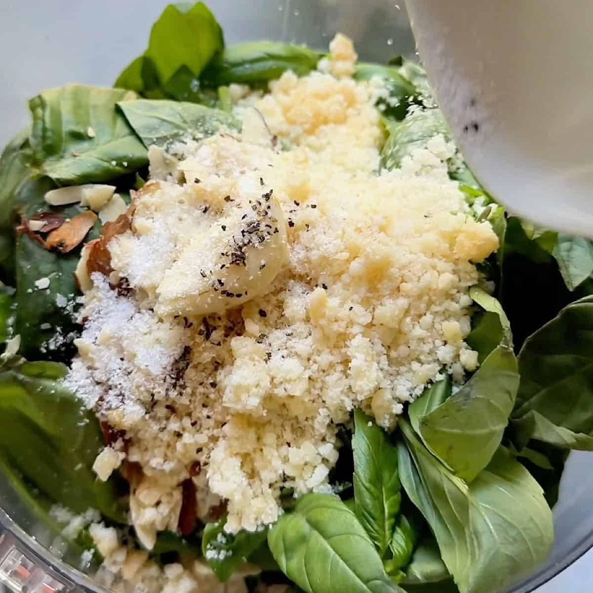Dry basil leaves with parmesan, almonds, garlic, and seasoning on top.