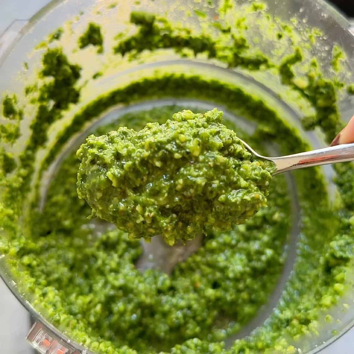 Holding a spoon of basil pesto without pine nuts over the food processor.