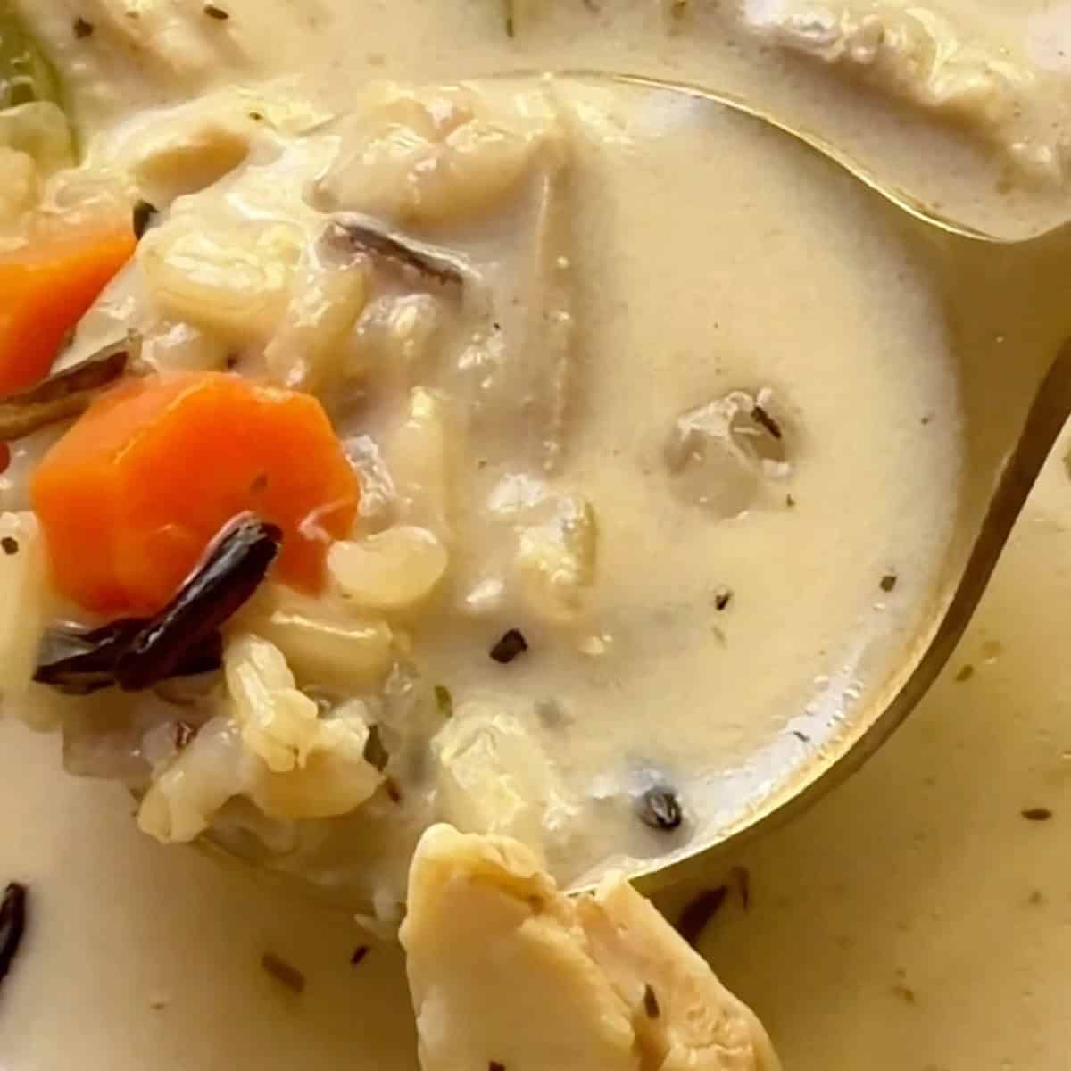 Scooping a spoonful of chicken and wild rice soup.