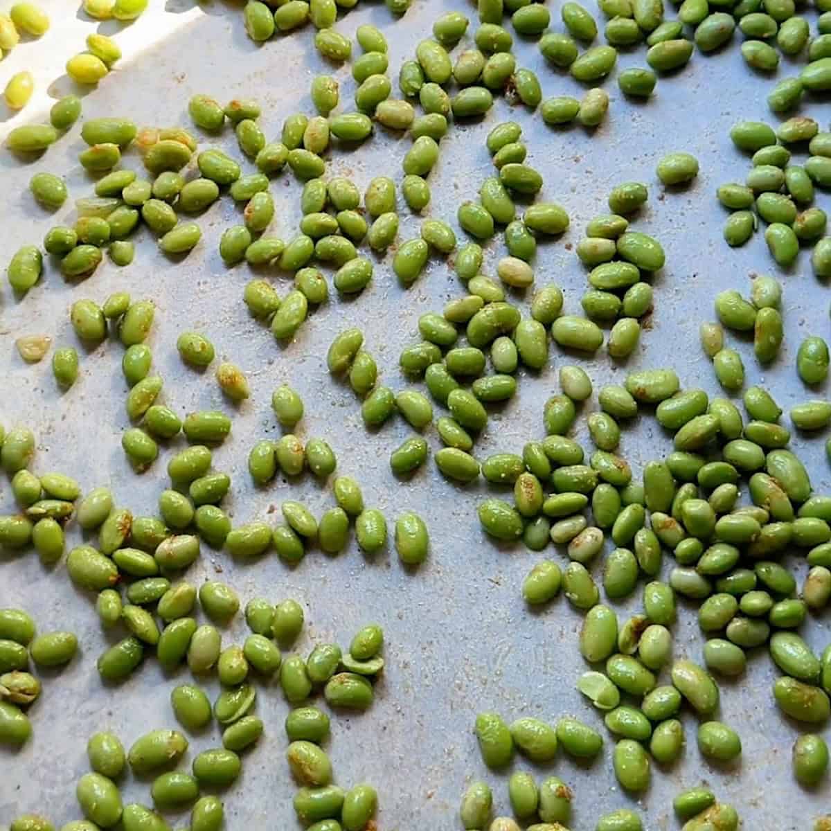 Arranging the edamame on an extra large baking sheet.