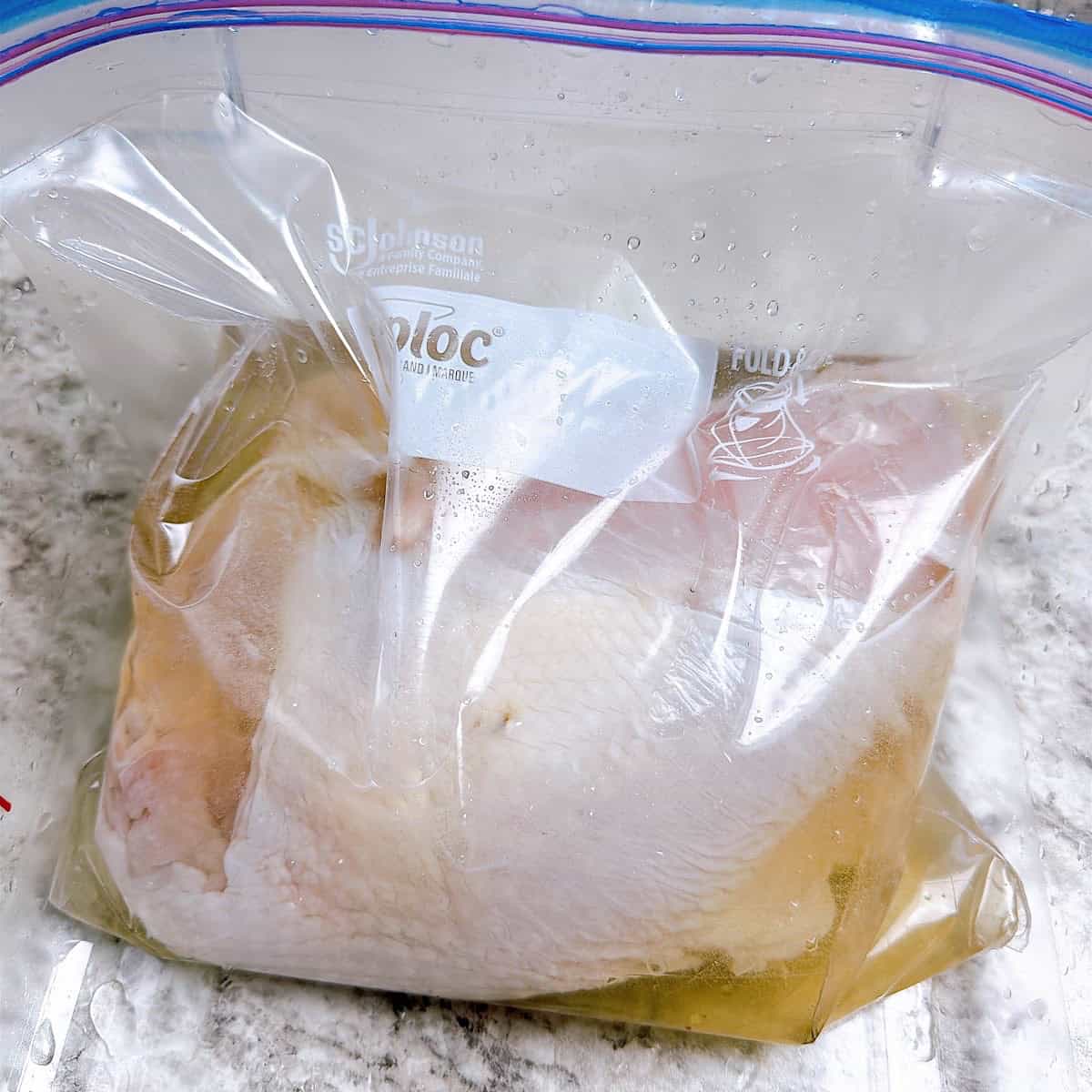 Raw turkey breast resting in brine.