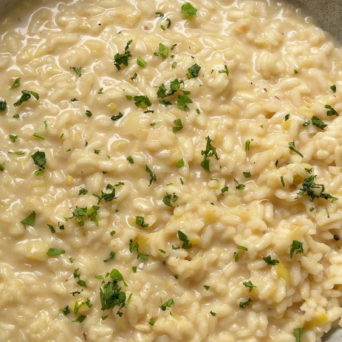 Loose risotto with roasted garlic and leek finished with parsley.