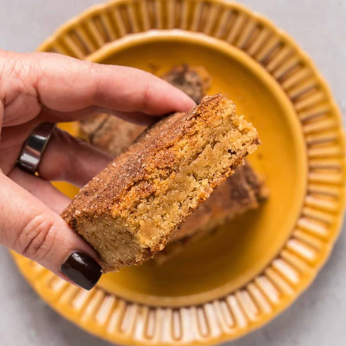 Holding a snickerdoodle blondie over a stack to show texture.