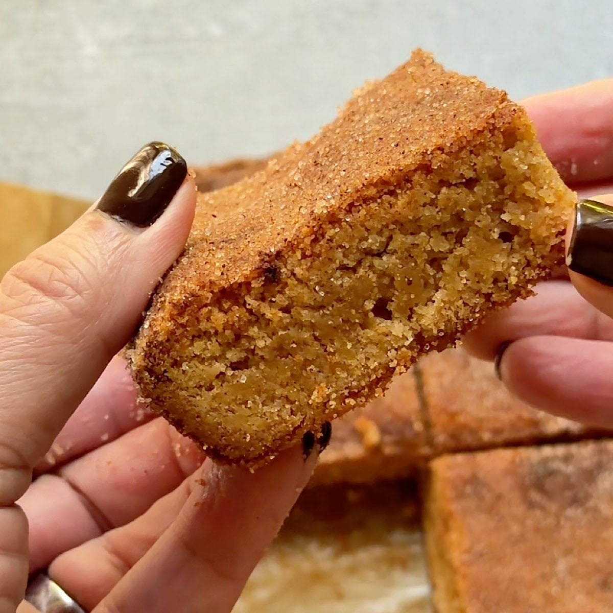 Holding a snickerdoodle blondie to show the texture inside.